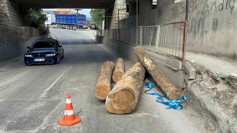 Tır alt geçitten geçerken tomrukları yola düşürdü
