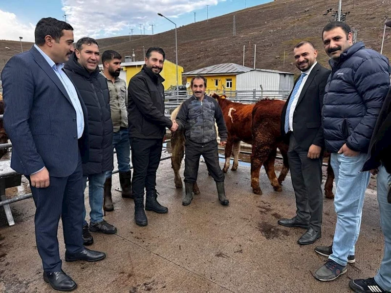 Sarıkamış Belediye Başkanı Serdar Kılıç, Hayvan Pazarında incelemelerde bulundu
