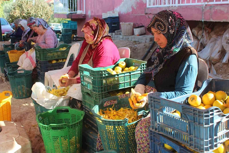 Manisa’da şifa kaynağı cennet hurmasına talep artıyor
