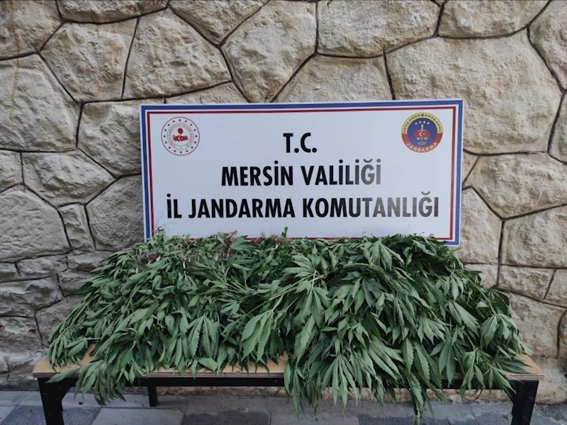 Mersin’de uyuşturucu serası kuran şüpheli yakalandı
