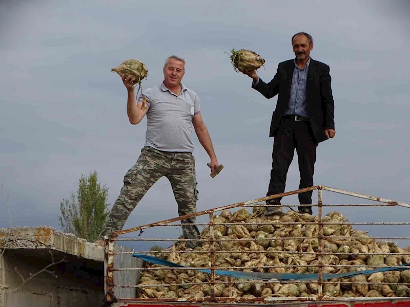 Hisarcık’ta şeker pancarı üretiminde artış
