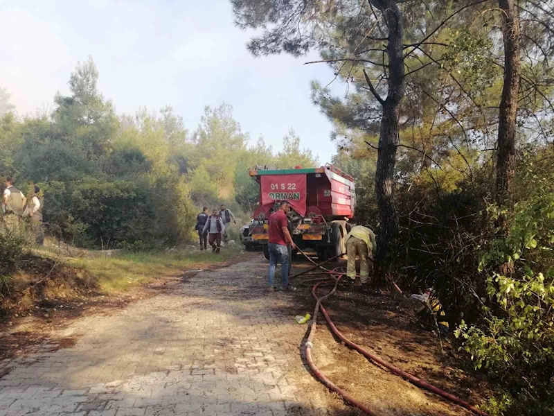 Osmaniye’de orman yangını başladı
