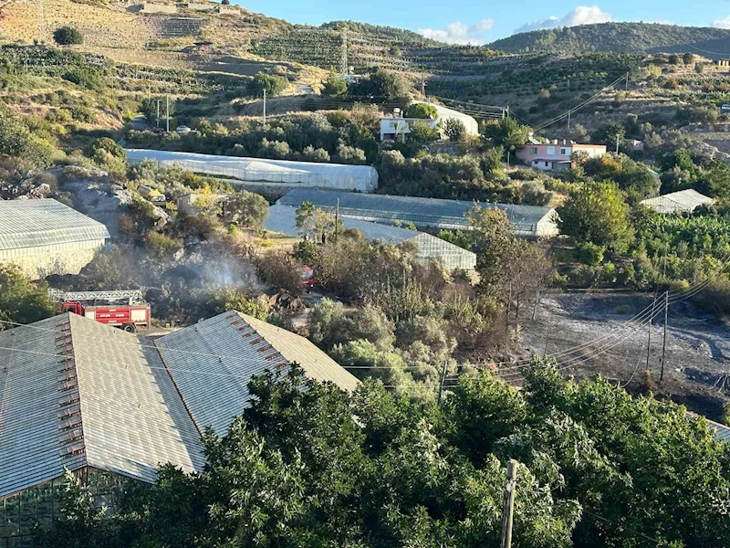 Alanya’da avokado bahçesinde yangın: 60 ağaç kül oldu
