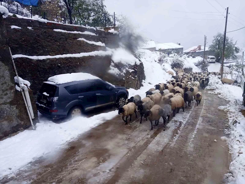 Giresun’da kar yağışı nedeniyle mahsur kalan çobanlar kurtarıldı
