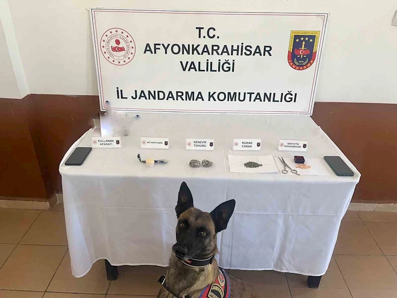 Jandarma zehir tacirlerine geçit yok
