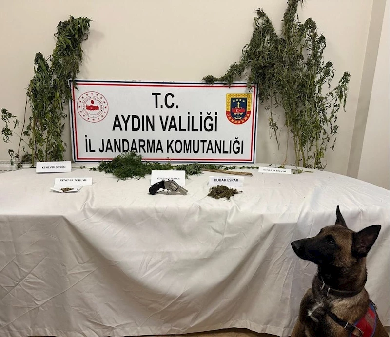 Koçarlı’da uyuşturucu baskını: 1 gözaltı
