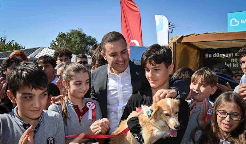 Büyükşehir kampanya ile 500’ün üzerinde can dostunu sahiplendirdi
