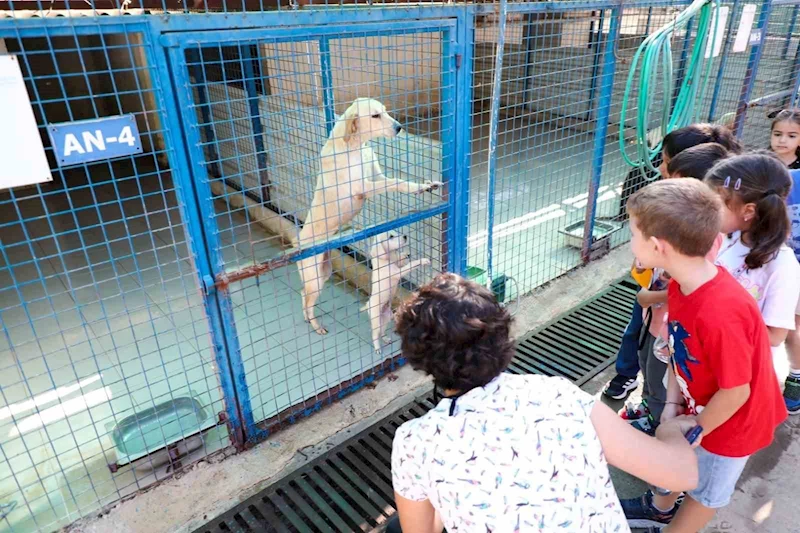 Bodrum’da 186 öğrenci patili dostlarıyla vakit geçirdi
