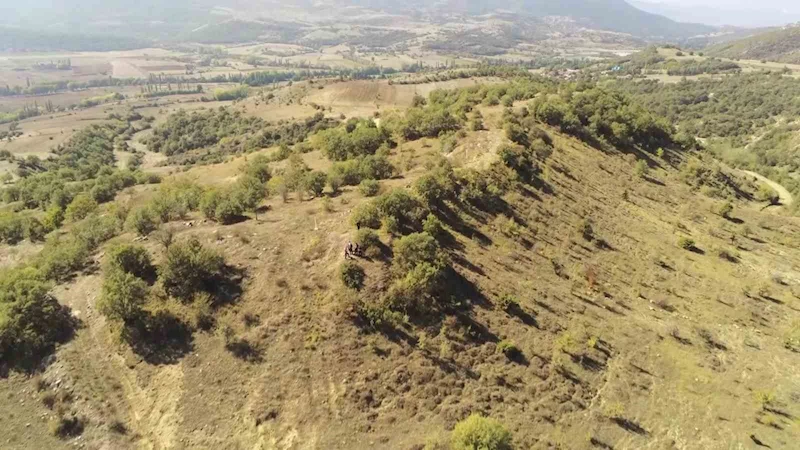 Haçlı ordusunun bozguna uğradığı tarihi zaferin izleri gün yüzüne çıkarılacak
