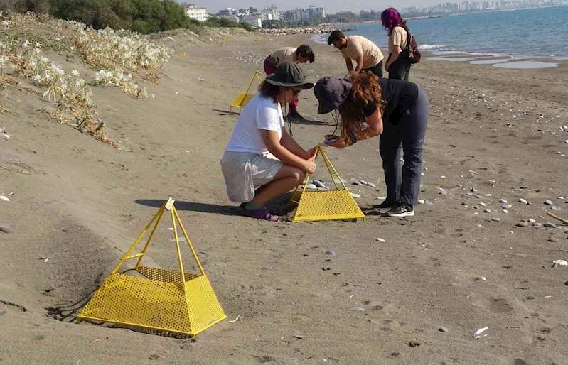 Çıkışlar tamamlandı, son yavrular denizle buluştu
