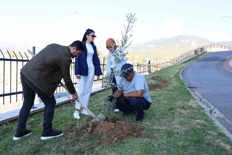 ALKÜ’de zeytin ağacı dikimi yapıldı
