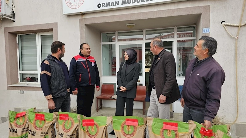 Çiftçilere hibe destekli buğday tohumu dağıtıldı
