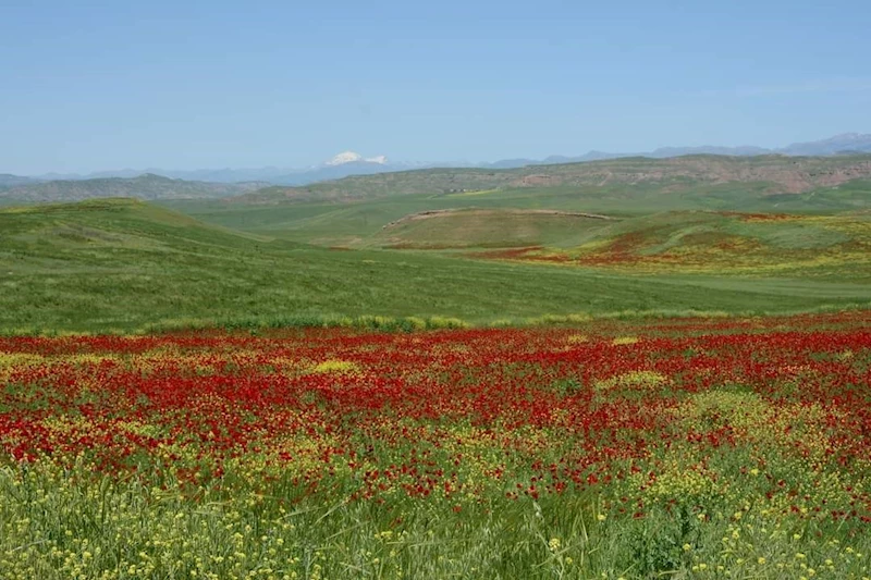 Garzan Ovası büyük ova ilan edildi
