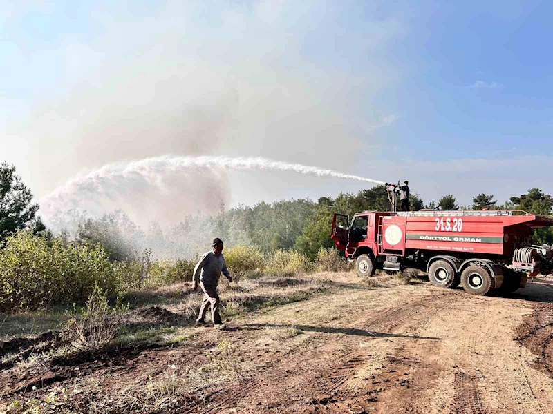 Hatay’da orman yangını rüzgarın etkisiyle büyümeye devam ediyor
