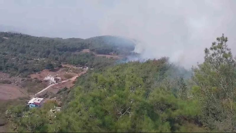 Hatay’da orman yangını
