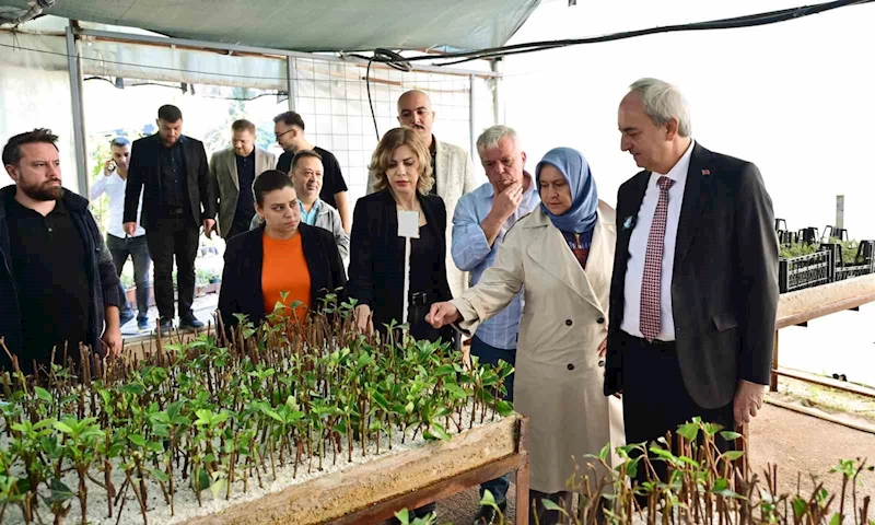 Kepez Belediyesi, ilçeyi kendi yetiştirdiği bitkilerle yeşillendiriyor
