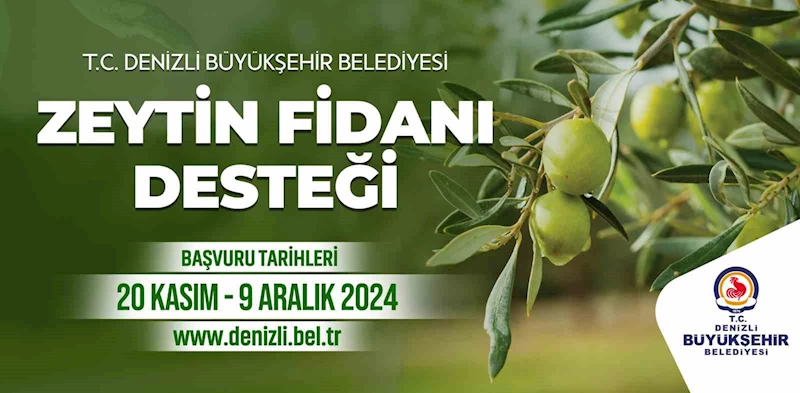 Denizli Büyükşehir çiftçilere 50 bin zeytin fidanı dağıtacak
