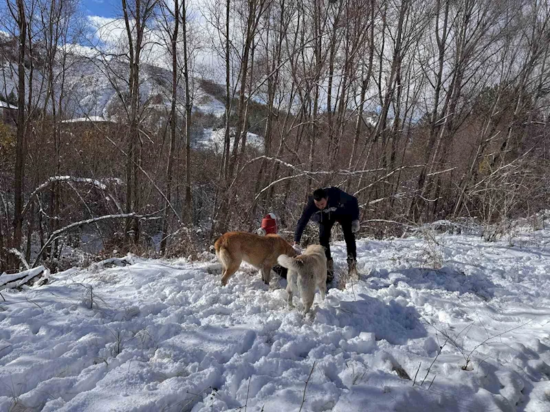 Keçiören Belediyesi, sokak hayvanlarını unutmadı
