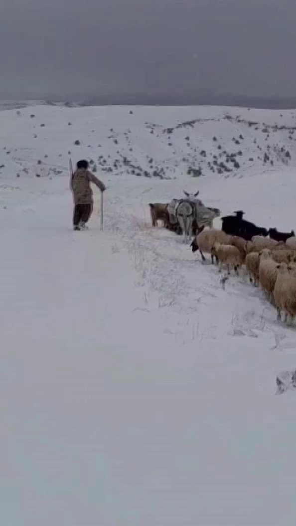 Sürü sahipleri kar ve tipiye yakalandı
