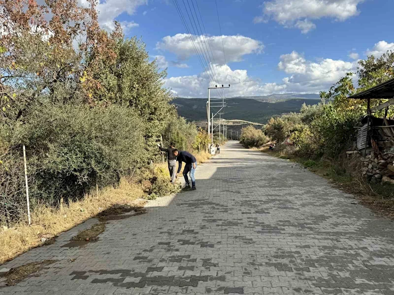 Karacasu’da mahalleler temizleniyor
