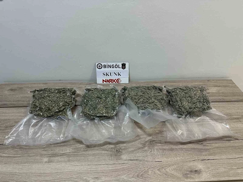 Bingöl’de 2 kilo 86 gram skunk ele geçirildi
