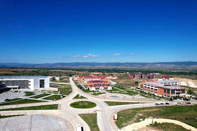 Kastamonu Üniversitesi, Times Higher Education Disiplinlerarası Bilim Sıralamasında 301-350 bandında yer aldı
