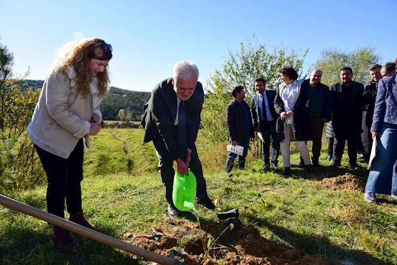 Kastamonu Üniversitesi’nde 100 fidan dikildi
