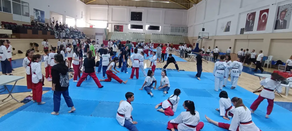 Taekwondo Poomsea Şampiyonası Göz Kamaştırdı