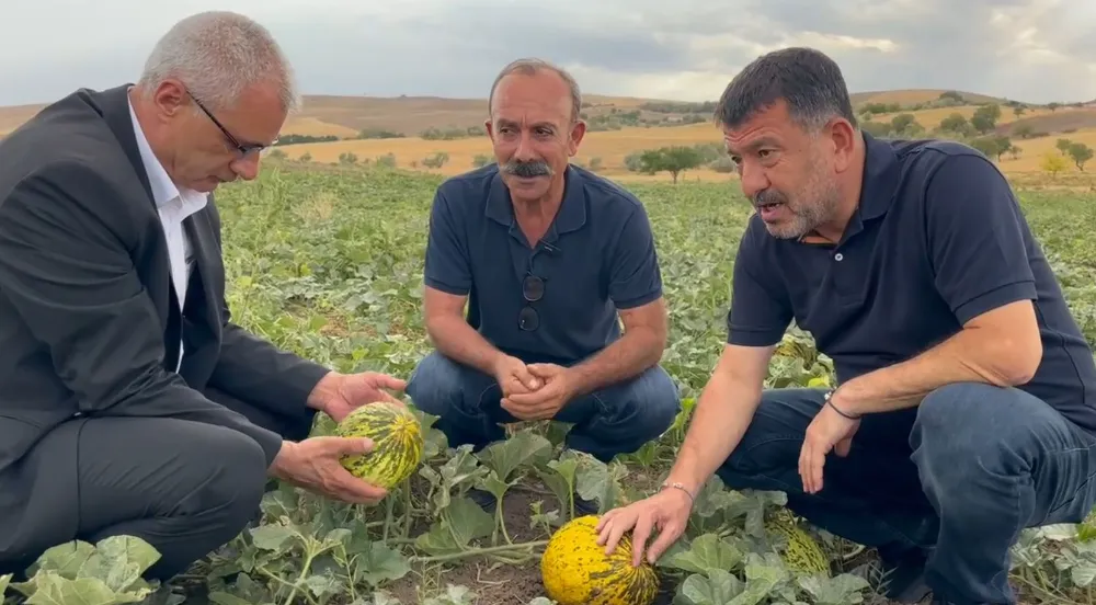 CHP’li Ağbaba: “Malatya Tarımı Çökmüş Durumda”