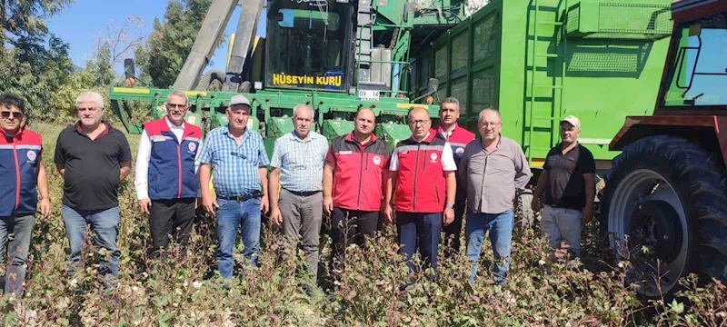 AB tescilli Söke Pamuğu hasadı sürüyor
