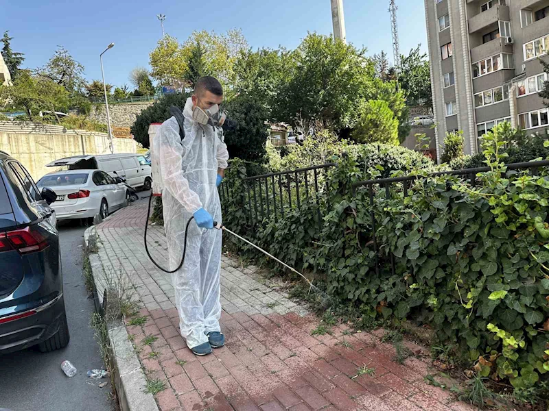 Kağıthane’de sinek ve haşerelere karşı tam zamanlı mücadele
