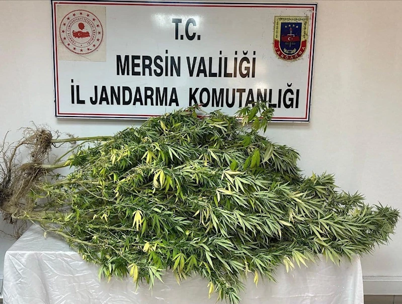 Mersin’de uyuşturucu tacirlerine operasyon: 4 gözaltı
