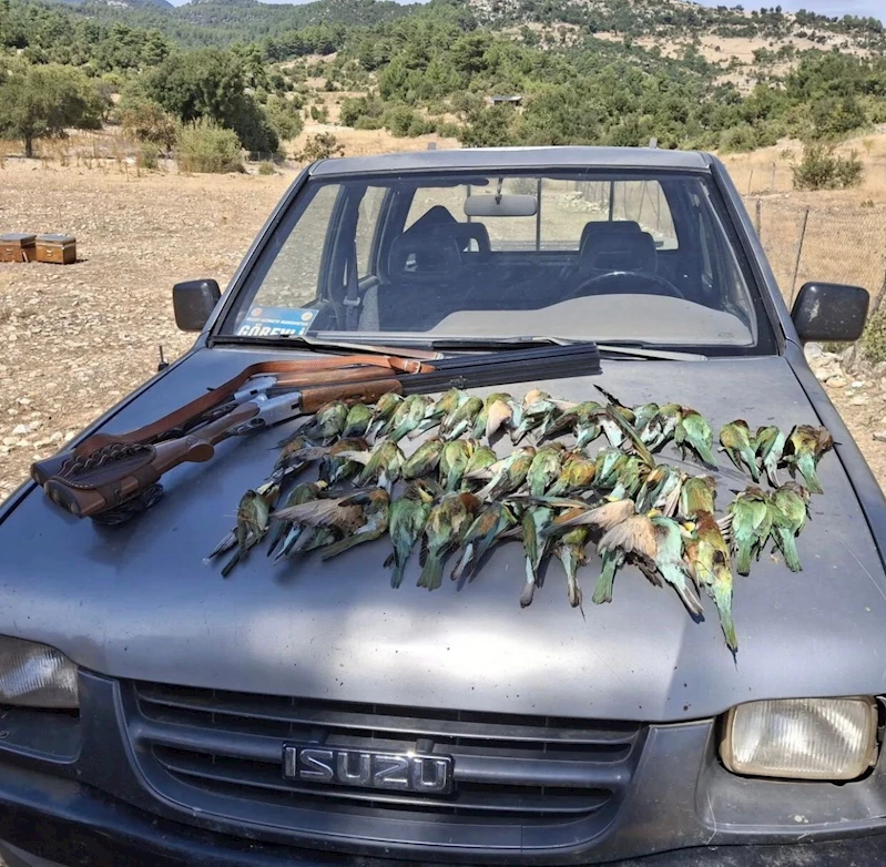 Antalya’da koruma altındaki arı kuşlarını avlayan 2 şahsa ceza yağdı
