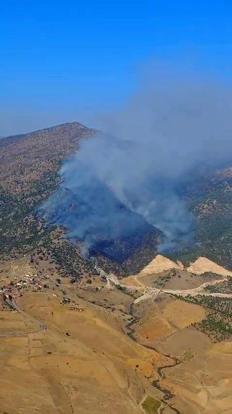 Manisa’da orman yangını
