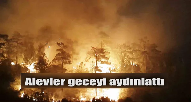 Alevler Geceyi Aydınlattı