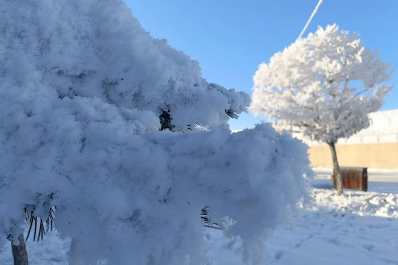 Doğu Karadeniz’de kuvvetli kar yağışı bekleniyor