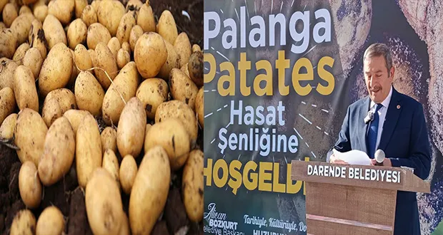 Bereketli Topraklarda Hasat Coşkusu: Darende Patatesi Niğde’ye Rakip Oldu