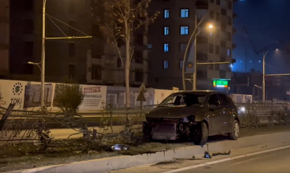 Köpeğe Çarpan Otomobil Kontrolden Çıkıp Refüje Çarptı