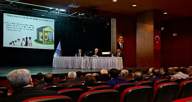 Vali Yavuz, Sokak Hayvanları İçin Yeni Düzenlemeyi Açıkladı