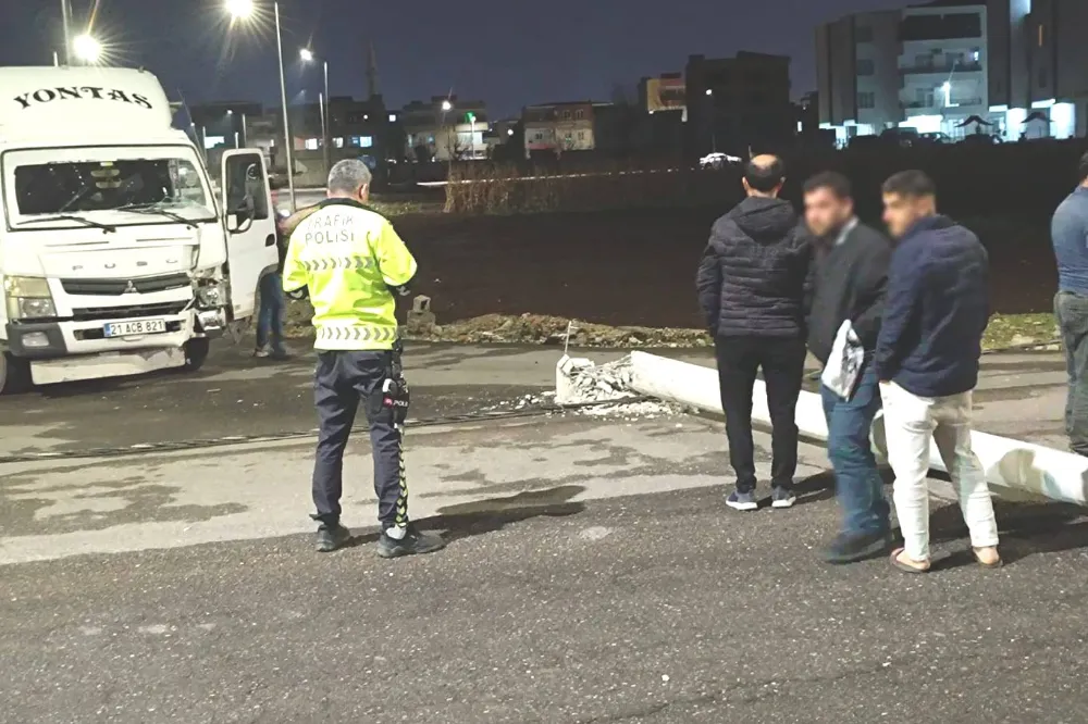Kamyonet Elektrik Direğine Çarptı