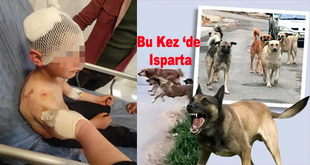 Bu Kez ‘de Isparta