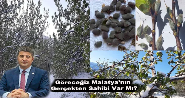 Yıldız: Göreceğiz Malatya’nın Gerçekten Sahibi Var Mı?