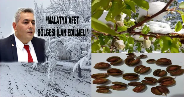 Sadıkoğlu: “Malatya Afet Bölgesi İlan Edilmeli”