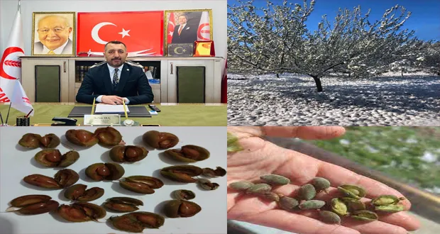 Başkan Kılıç ; Kayısı Üreticisi İçin Doğal Afet İlan Edilmeli