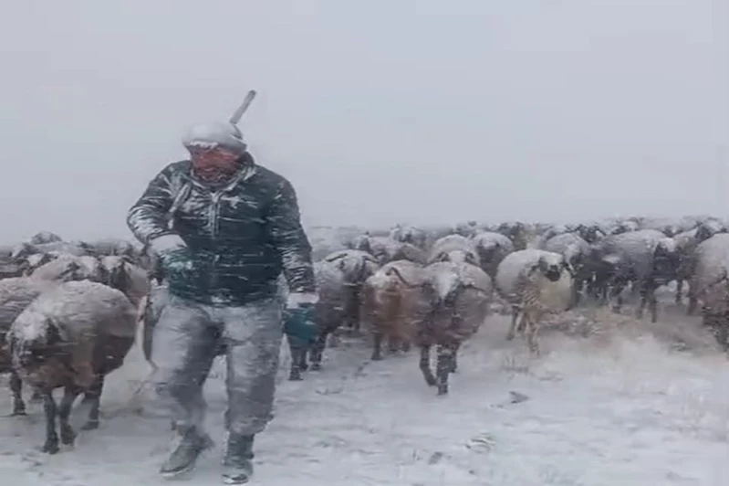 Taşlıçay