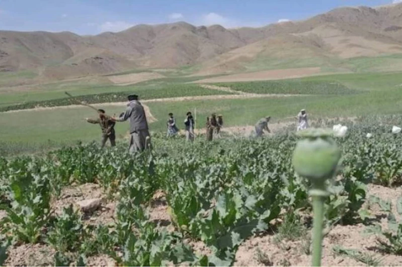 Afganistan