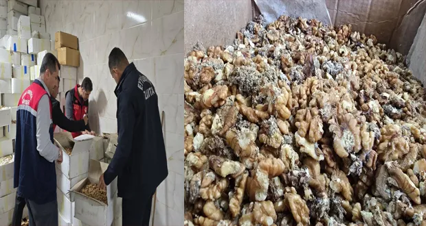 Baklava İmalatçısında Tonlarca Bozulmuş Ceviz Ele Geçirildi