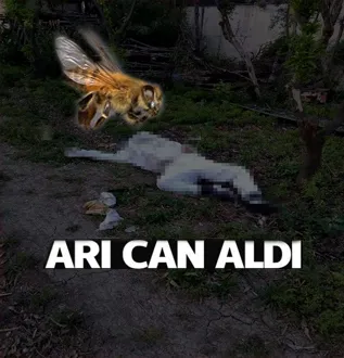 Adana’da Bal Arısı Can Aldı