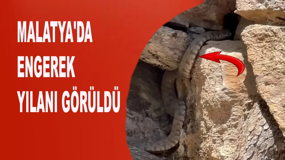 Malatya