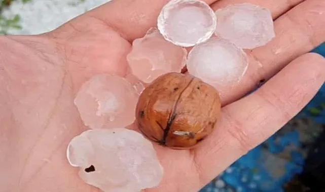 Malatya’da Dolu Yağışı Üreticiyi Olumsuz Etkiledi